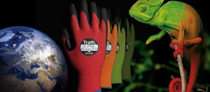 Chameleon, earth and set of traffi gloves red, green and orange